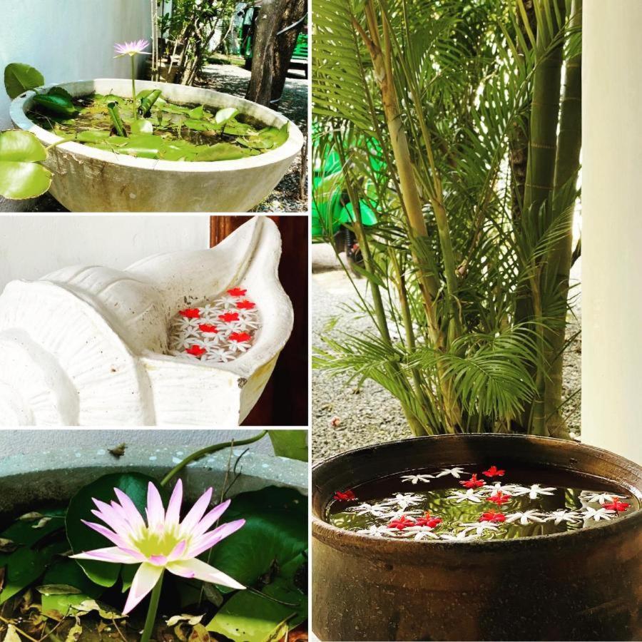 Rituale Guest House - Surf & Yoga มิริสซา ภายนอก รูปภาพ